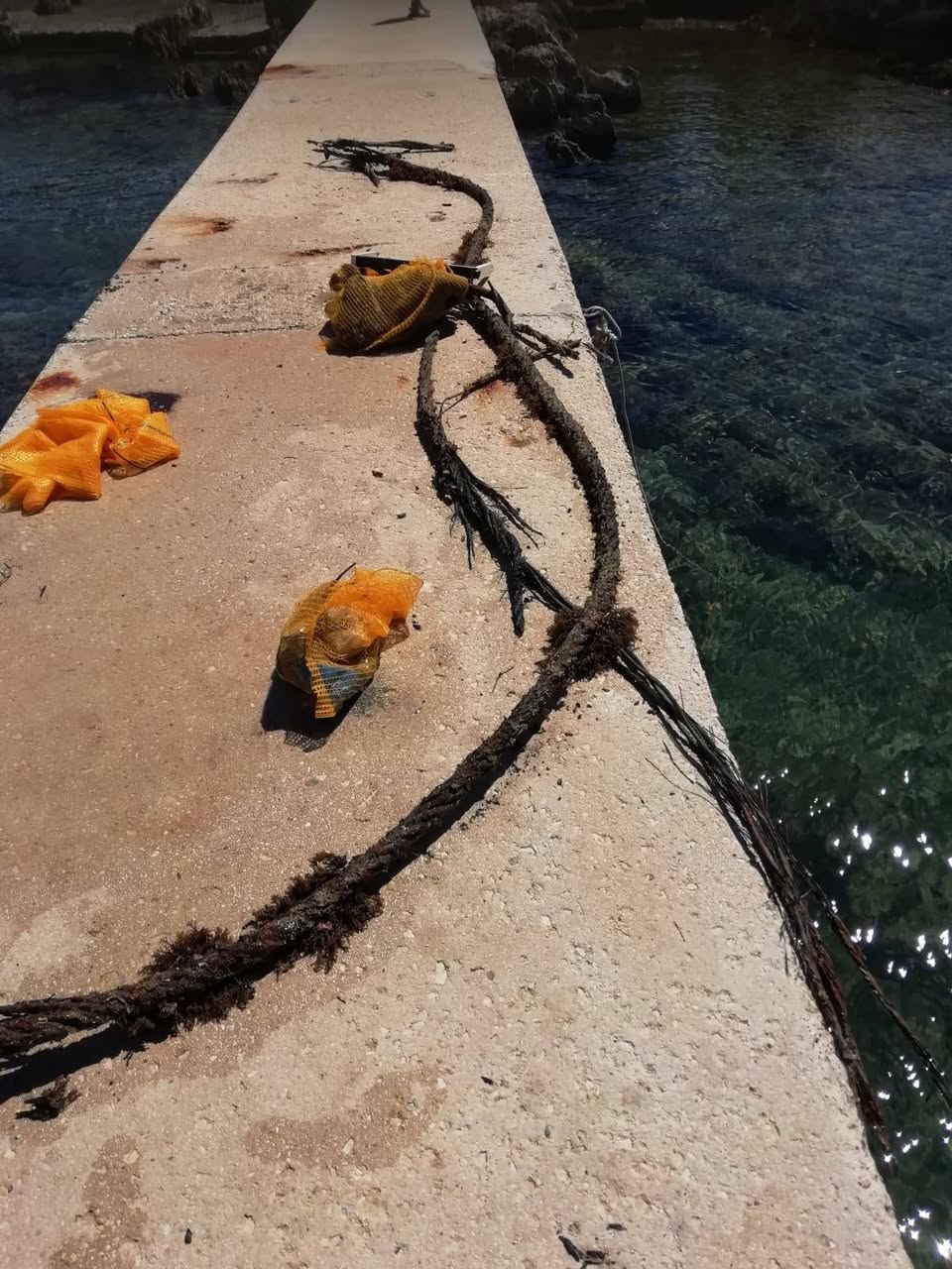 Ronioci Poljuda u akciji „Čišćenje Bena”
